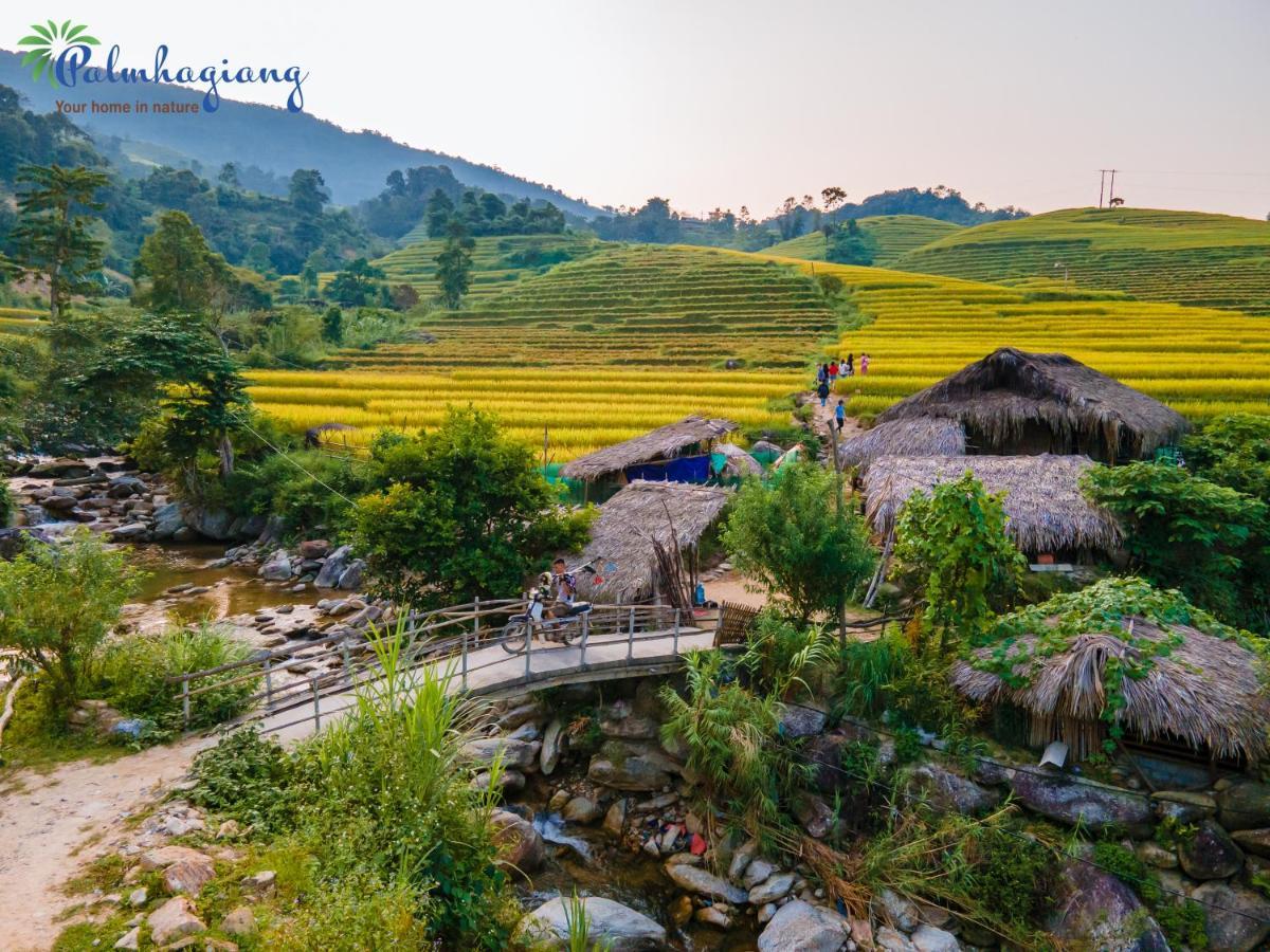 Tvpalm Ecolodge 河江 外观 照片