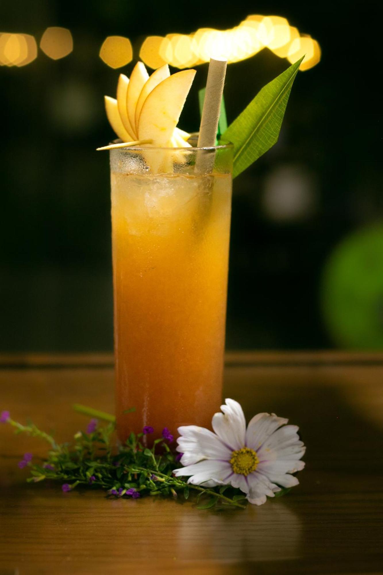 Tvpalm Ecolodge 河江 外观 照片