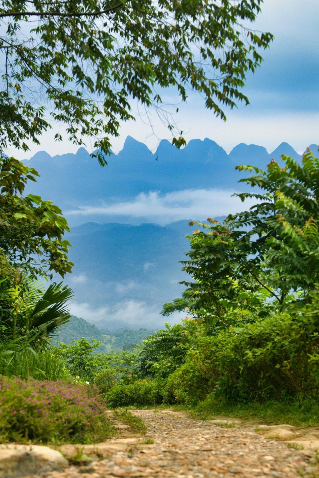 Tvpalm Ecolodge 河江 外观 照片
