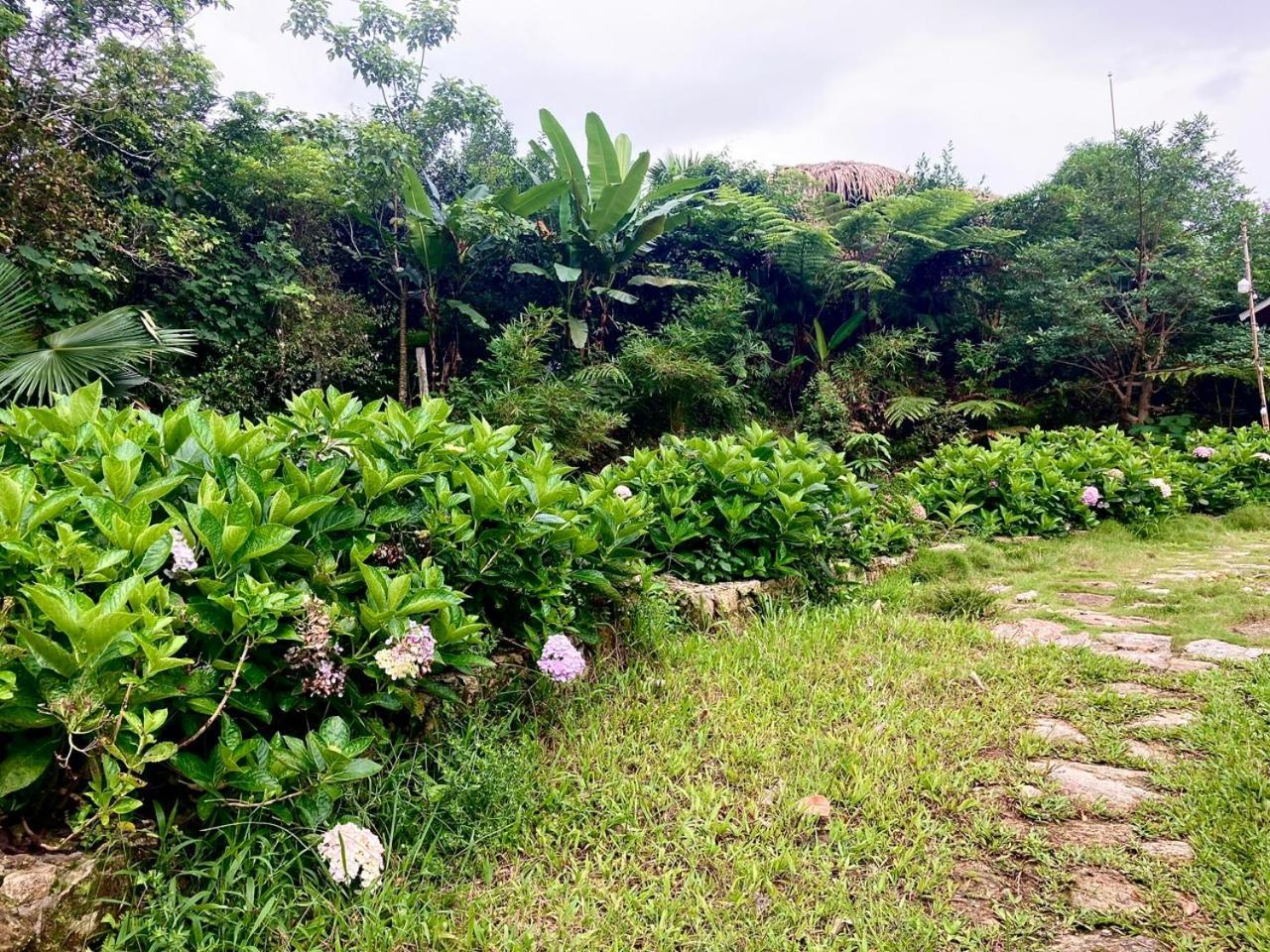 Tvpalm Ecolodge 河江 外观 照片