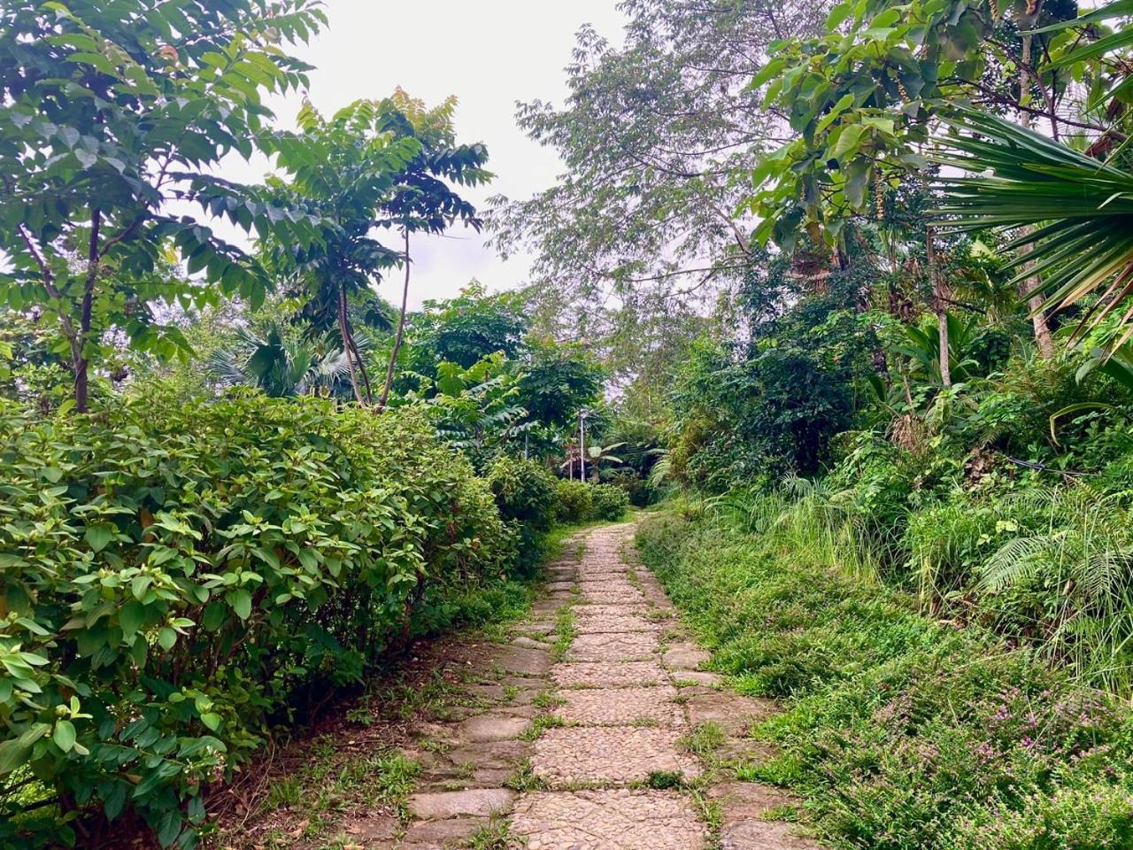 Tvpalm Ecolodge 河江 外观 照片