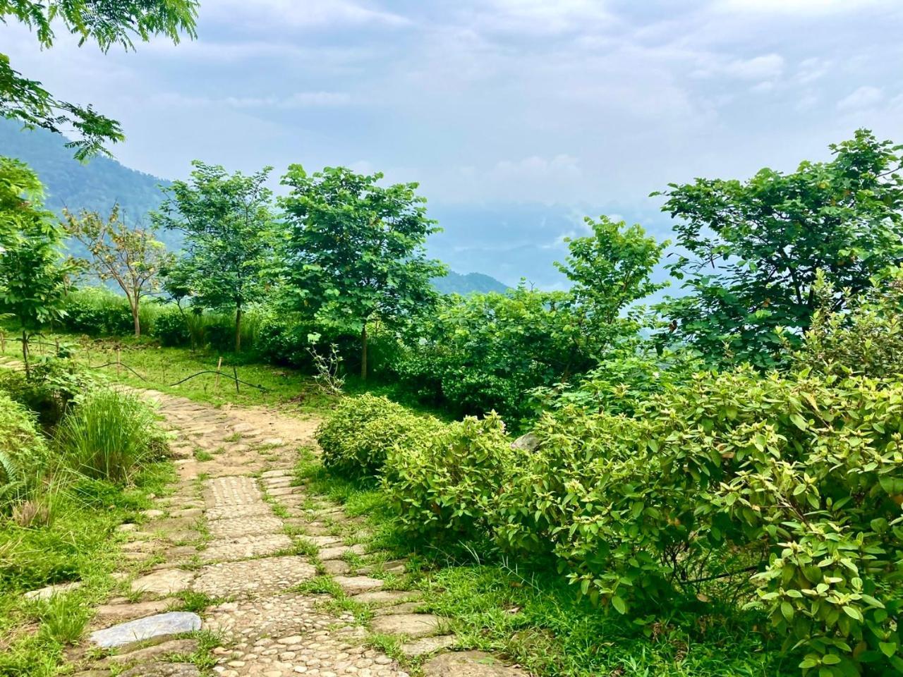 Tvpalm Ecolodge 河江 外观 照片