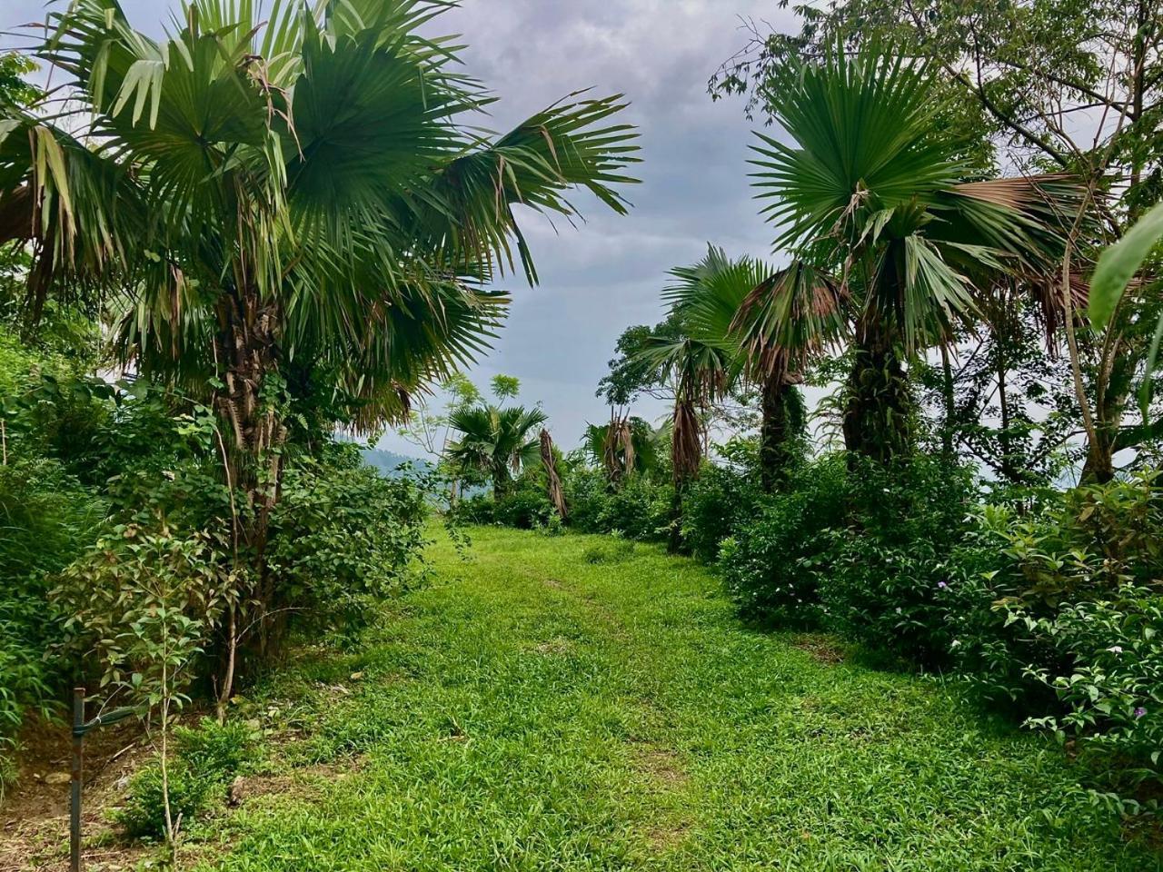 Tvpalm Ecolodge 河江 外观 照片