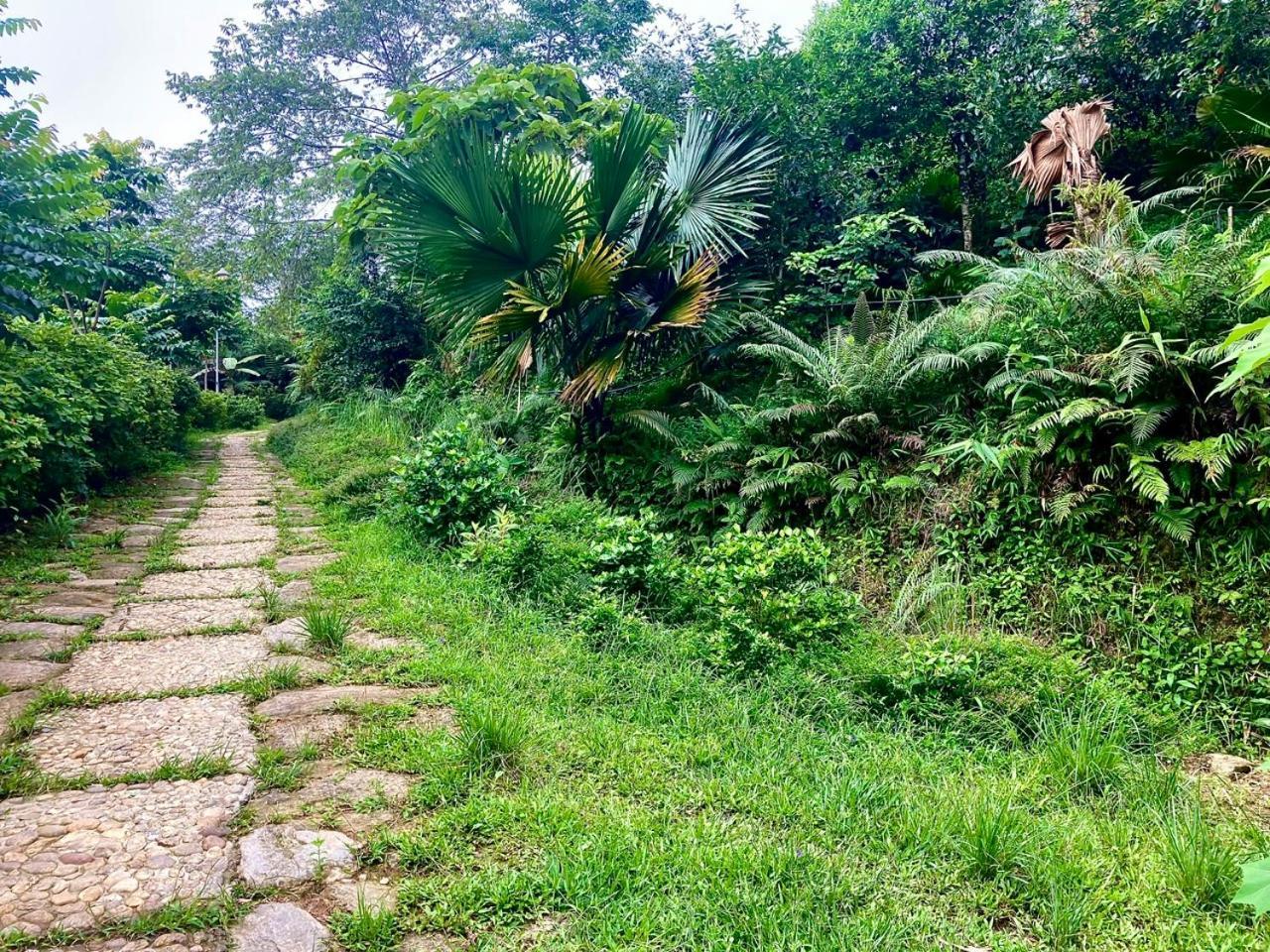 Tvpalm Ecolodge 河江 外观 照片